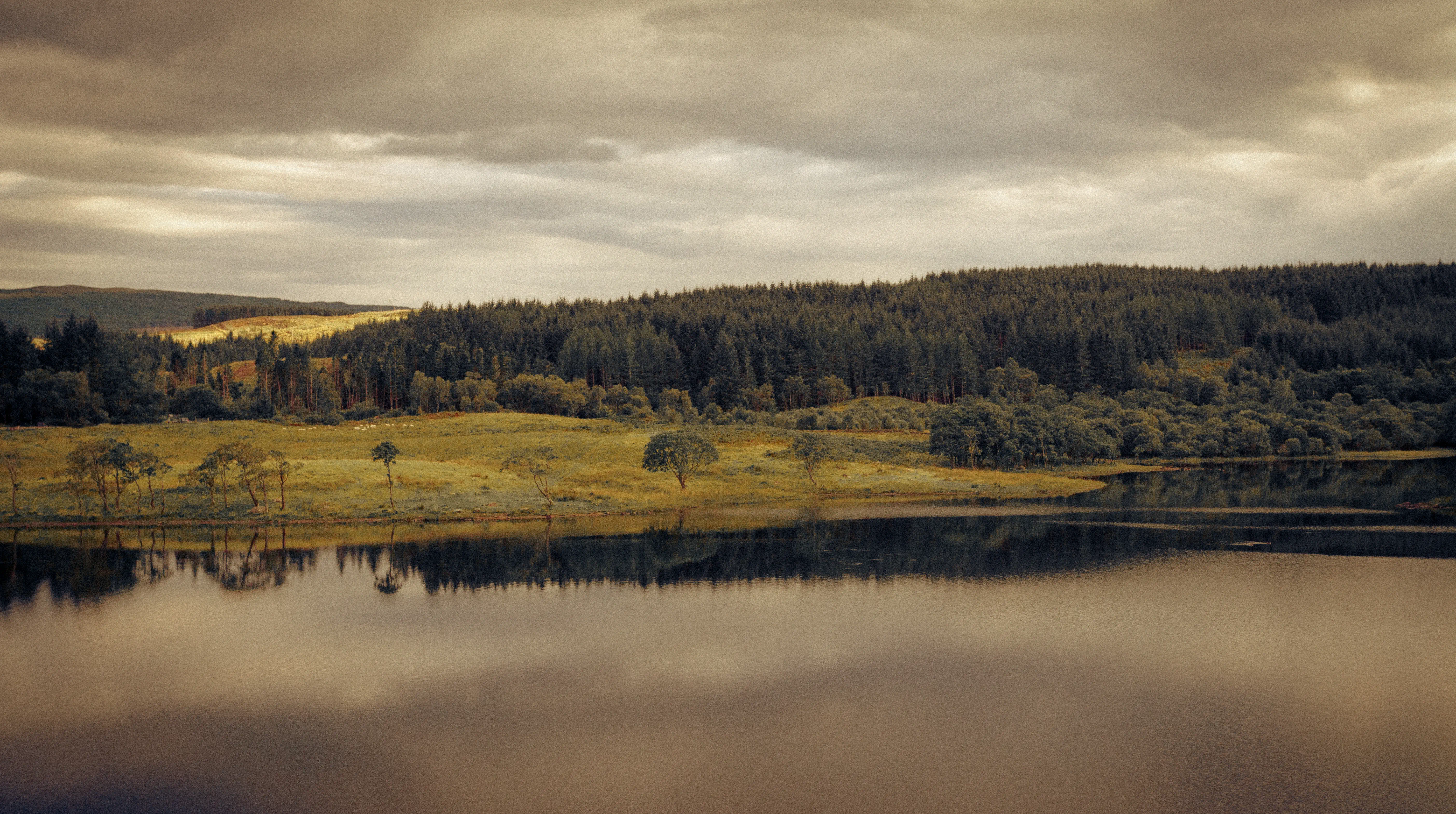  untitled by Laura Molina Álvarez